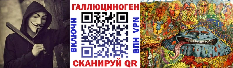 Галлюциногенные грибы Psilocybine cubensis  даркнет сайт  Ахтубинск 